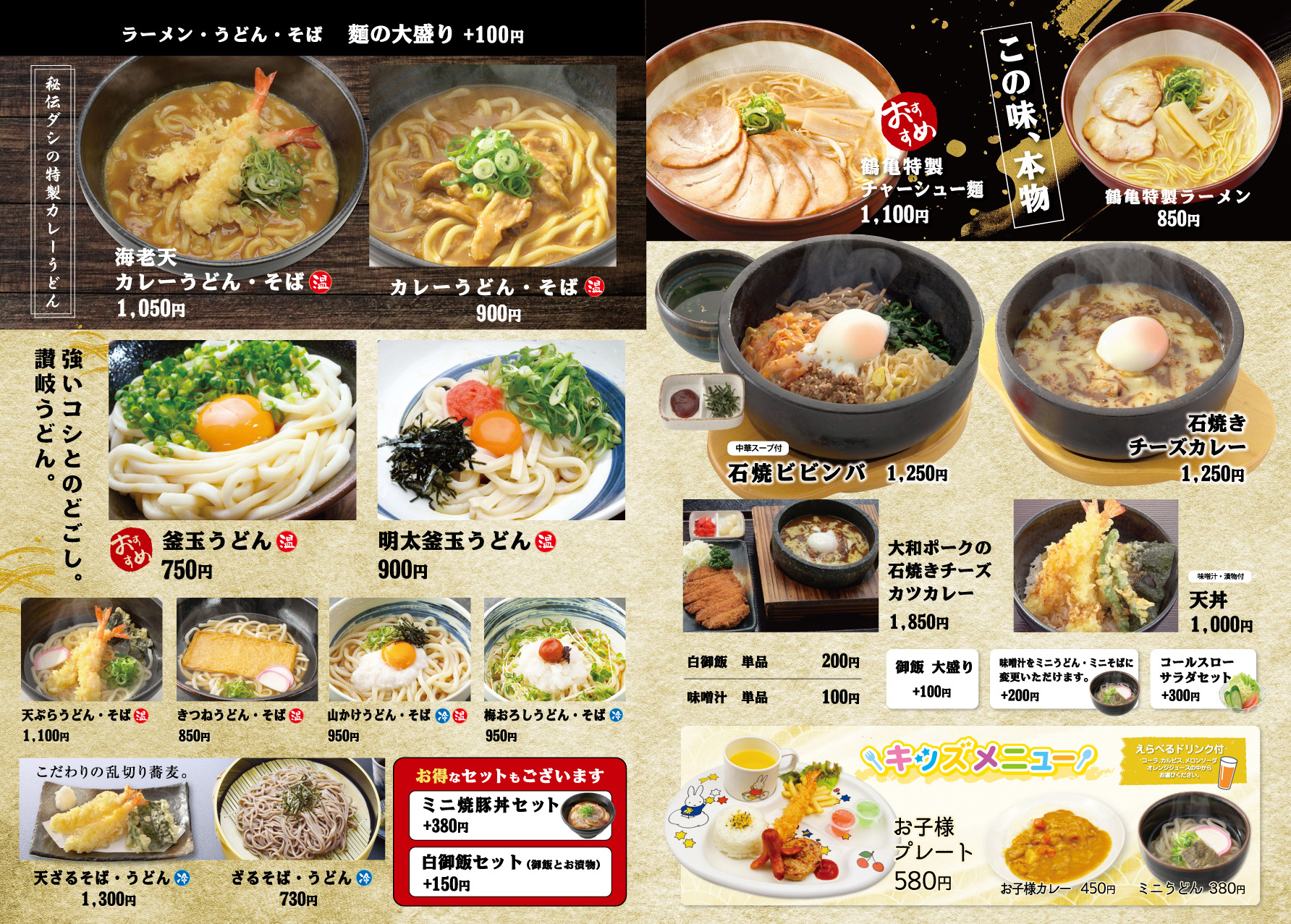 活動歴および当時の関連ビジュアル記録